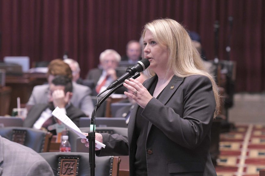 With time running short, Springfield rep still sees potential for prior authorization changes