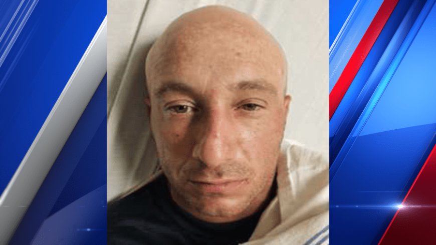 Connecticut K-9 captures wanted fugitive working in Somers