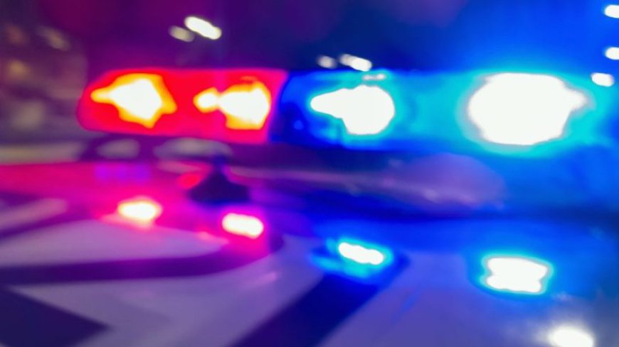 Springfield man arrested in connection with theft at Target