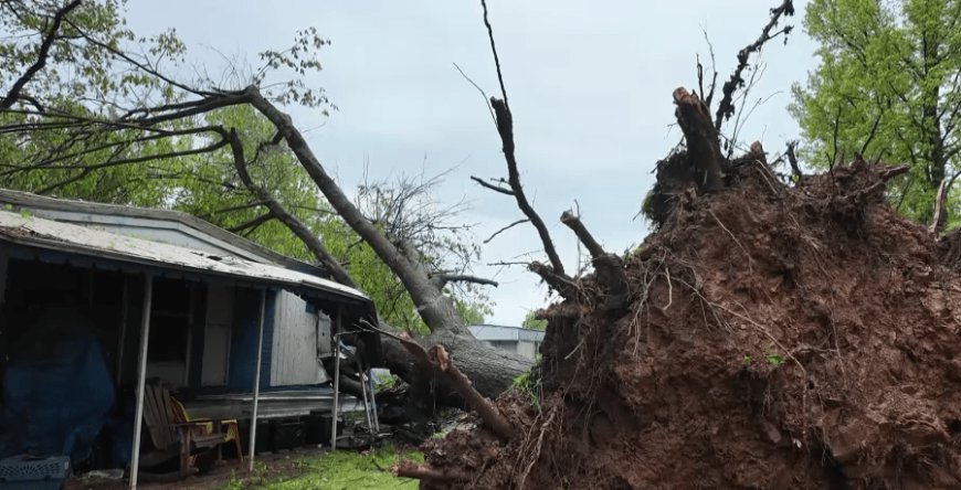 Springfield Councilman supports using reserve funds for storm cleanup