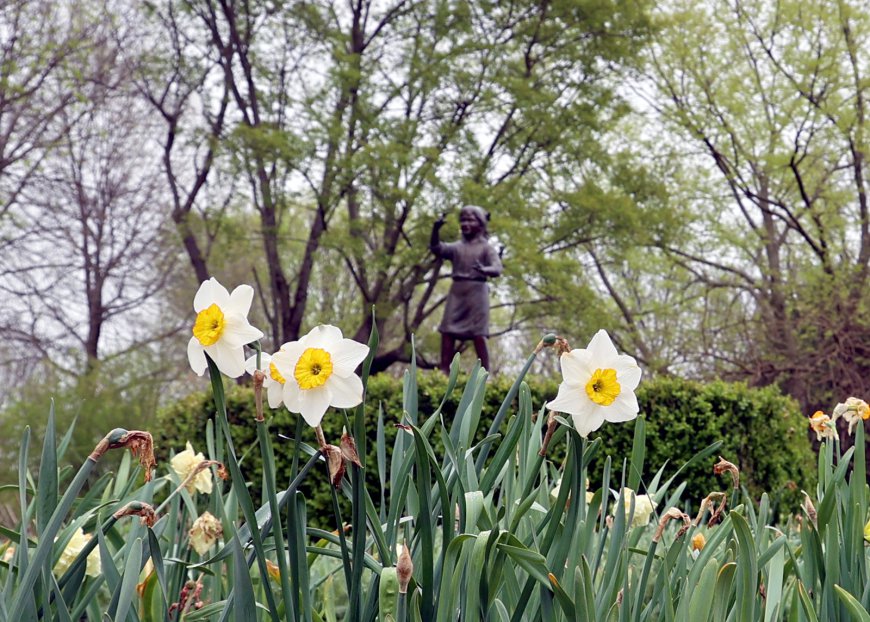 Pokin Around: A year later, Friends of the Garden still does not have executive director