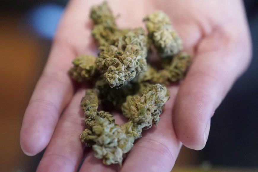 Legislature, Cannabis Commission watching each other