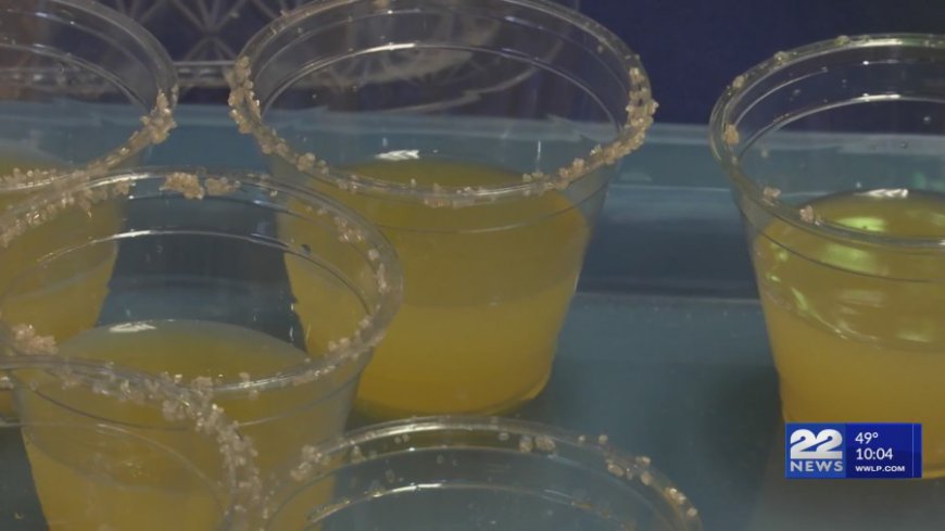 Helix Human Services Host 7th Annual Taste of Margarita Fundraiser