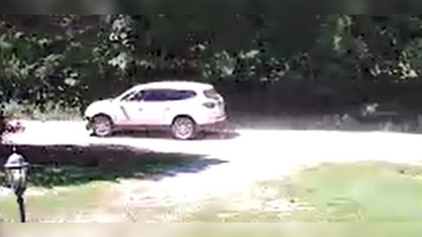 Webster County Sheriff's Office searching for information in Marshfield theft