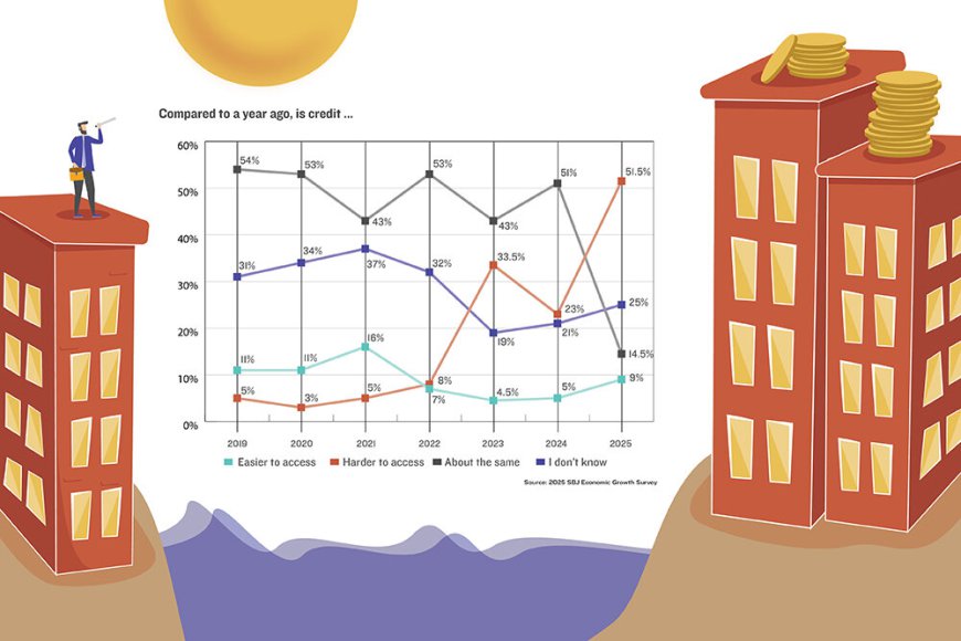 Where Credit Is Due: Perception may not match reality of capital availability