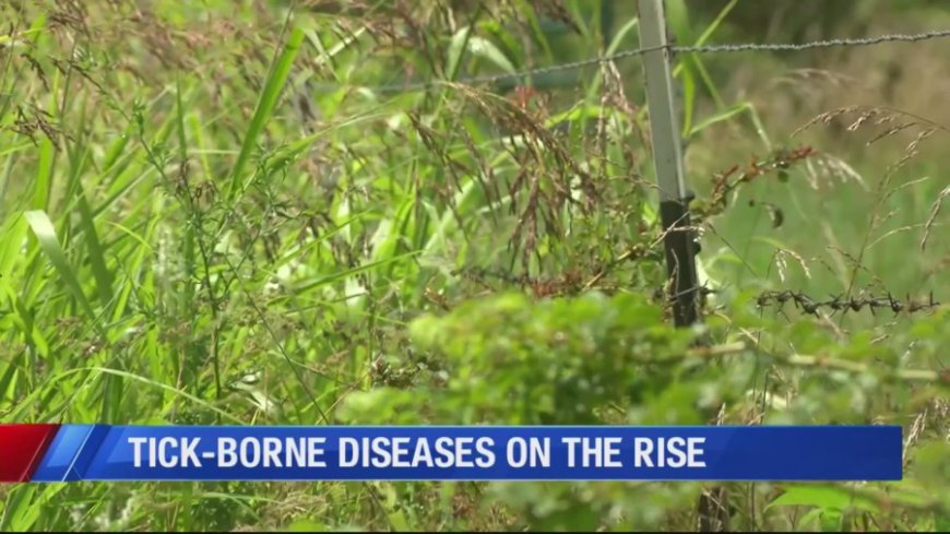 Spike in tick-related interactions and diseases