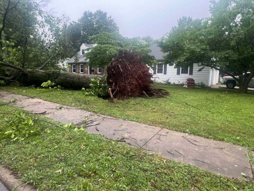 City of Springfield reschedules Storm Debris Volunteer Day