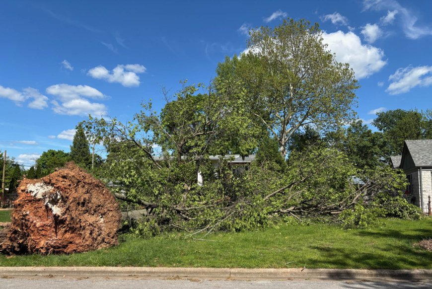 City reschedules storm debris volunteer day for Thursday, July 24