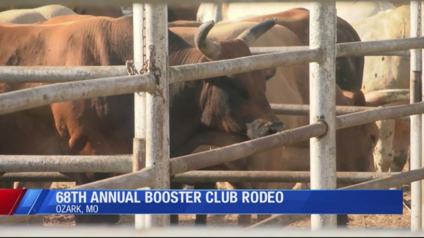 Ozarks Booster Club draws large turnout for 70th annual rodeo