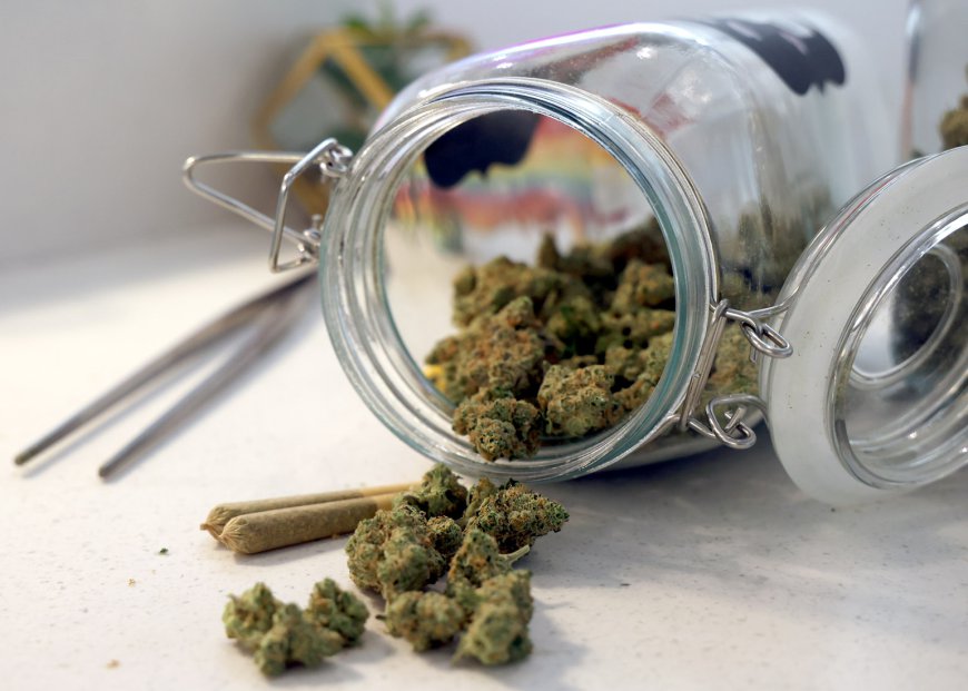 Regulators revoke license of Springfield marijuana manufacturer