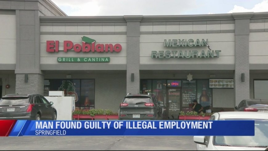 Springfield restaurant owner pleads guilty to hiring undocumented employees