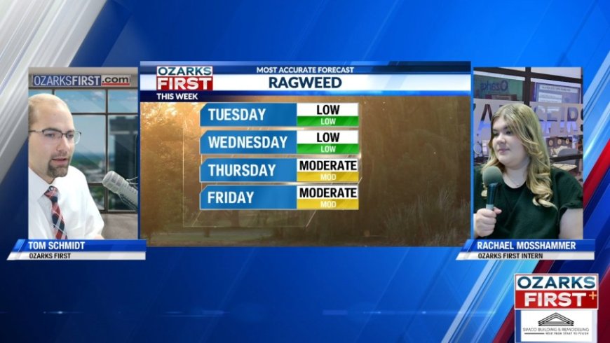 August allergy season in the Ozarks: How weather is stirring up ragweed