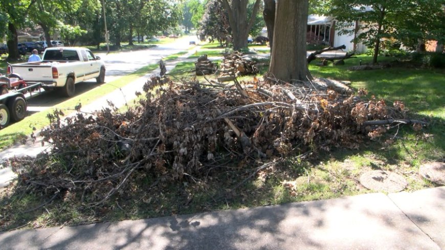 Storm debris pickup in SGF postponed by one month