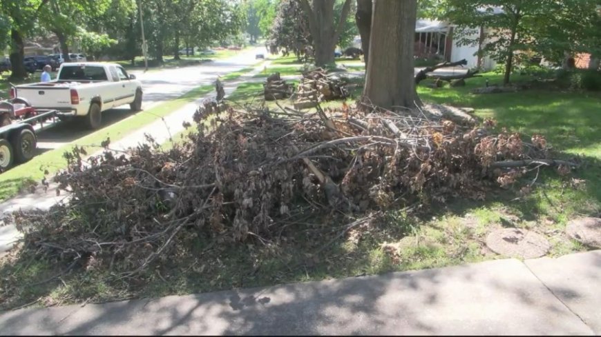 Springfield begins long-awaited storm debris pickup