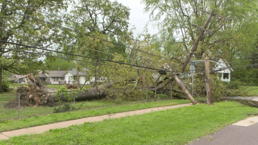 Public Works will start Zone 3 storm debris pickup Aug. 18