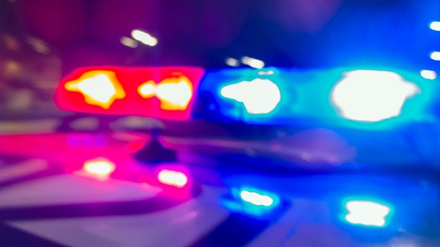 Man sues Taney County law enforcement for alleged excessive force