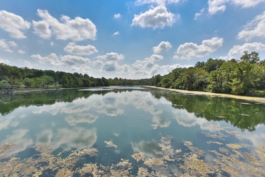 Letter: A plea on behalf of our water