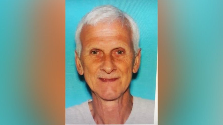 Texas County search for missing 71-year-old man