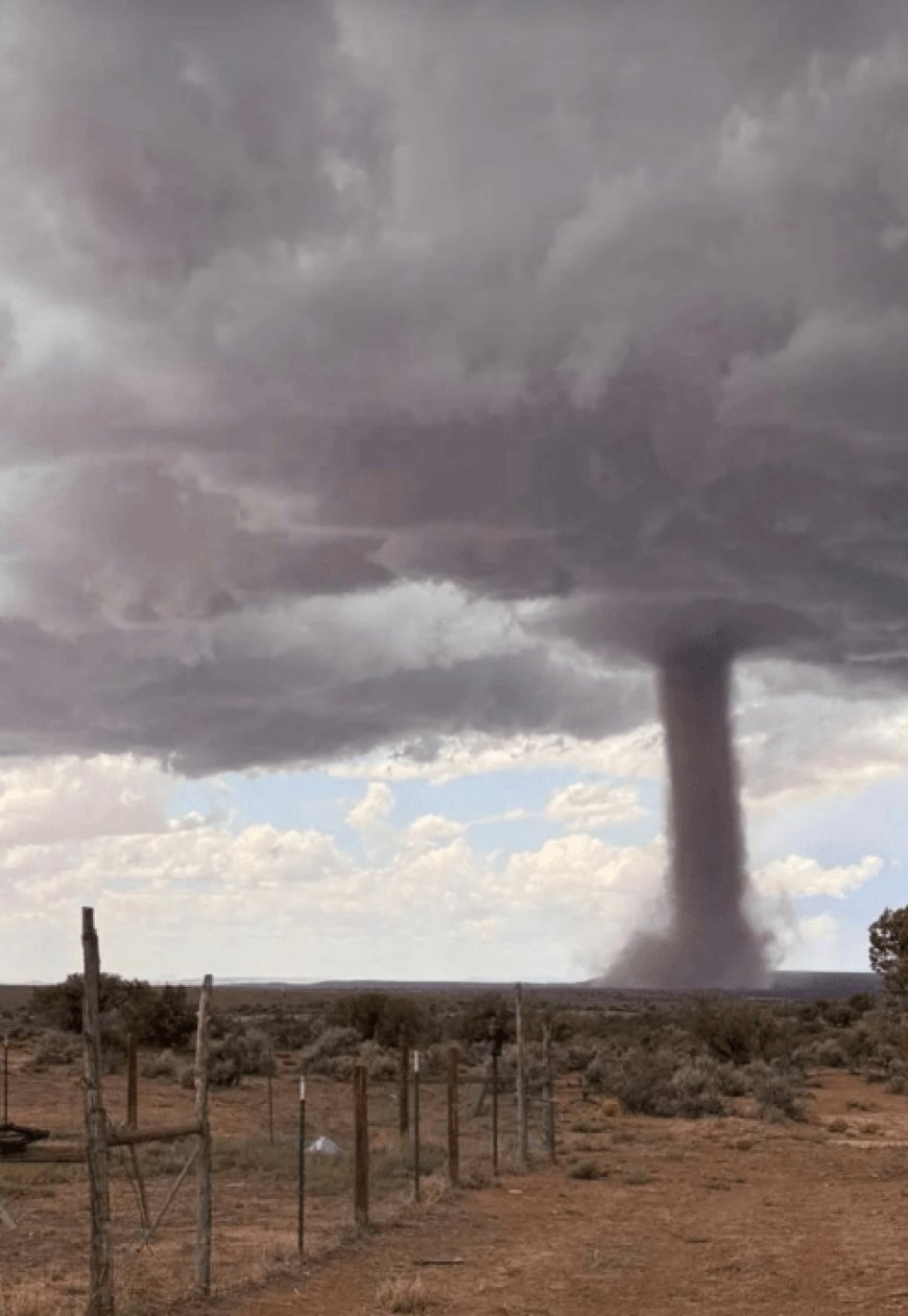 Missouri in top 3 for tornadoes year-to-date