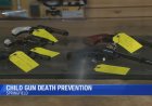 Springfield experts and owners talk gun safety in households