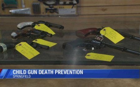 Springfield experts and owners talk gun safety in households