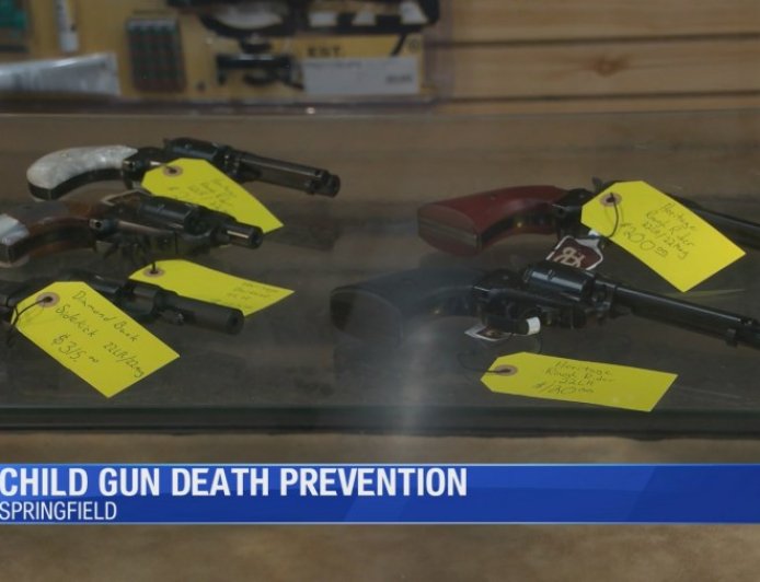 Springfield experts and owners talk gun safety in households