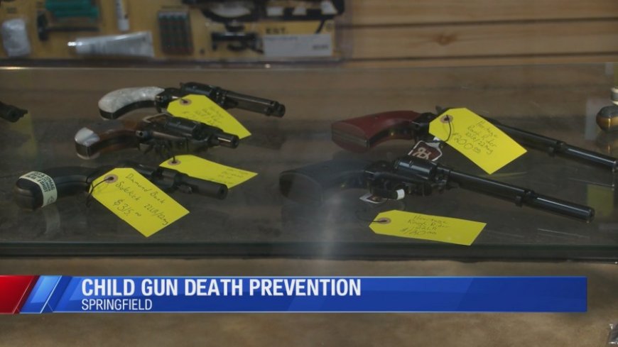 Springfield experts and owners talk gun safety in households