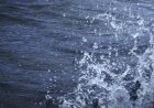 St. Louis man dies in Lake of the Ozarks drowning