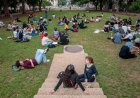 UT Austin to eliminate Black, Latino and women’s studies majors