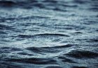 Barry County man drowns at Table Rock Lake