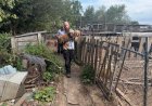 Lawrence County woman charged in connection to rescue of 170 animals