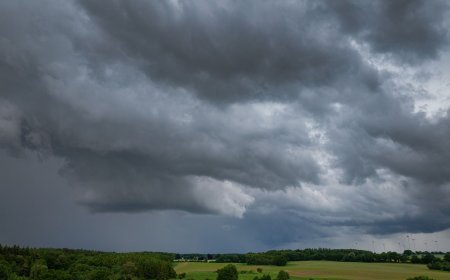 Wetter weather and cooler temperatures finally moving into the Ozarks