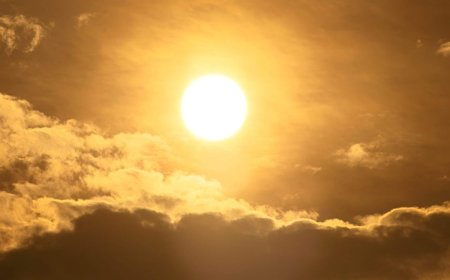 Late summer surge leads to record highs this week