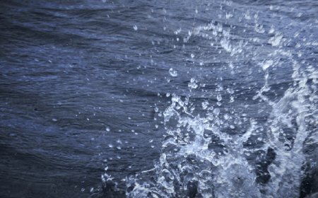 St. Louis man dies in Lake of the Ozarks drowning