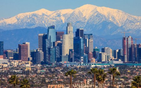 Los Angeles news helicopter crash kills 3, including NBC4 reporter and pilot