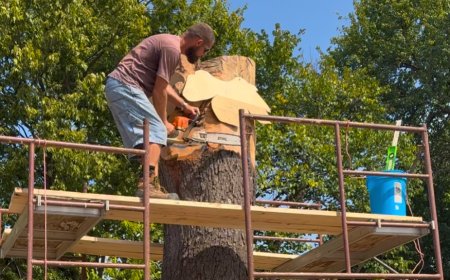 New sculpture coming to Phelps Grove Park