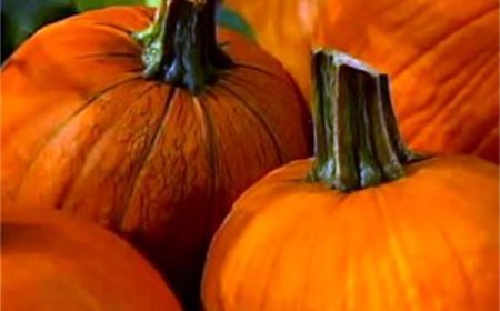 A guide to upcoming Ozarks fall festivals 2026