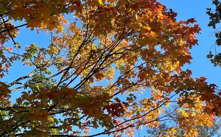 Coolest night in months followed by warmer weekend weather