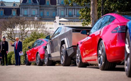 ‘Y’all still keep buying these cars’: Tesla racism trial sparks calls for boycott