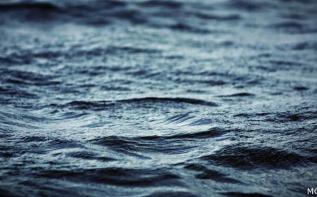 Barry County man drowns at Table Rock Lake