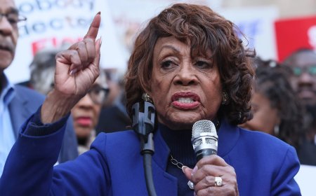 Maxine Waters calls for investigation after OpenAI agents accessed federal government websites