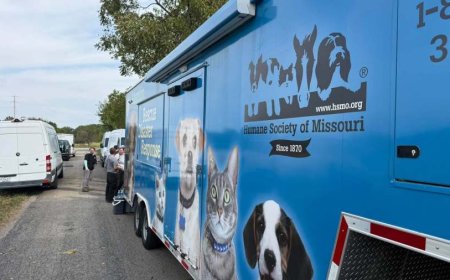 More than 100 animals rescued in Lawrence County