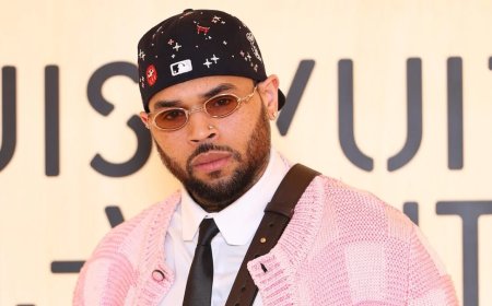 Judge reduces jury award against Chris Brown in dog attack lawsuit