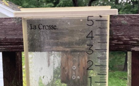 Widespread rainfall washes away the late summer heat