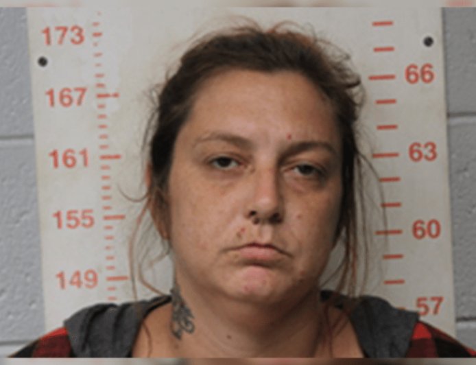 Polk County woman charged with child molestation, neglect