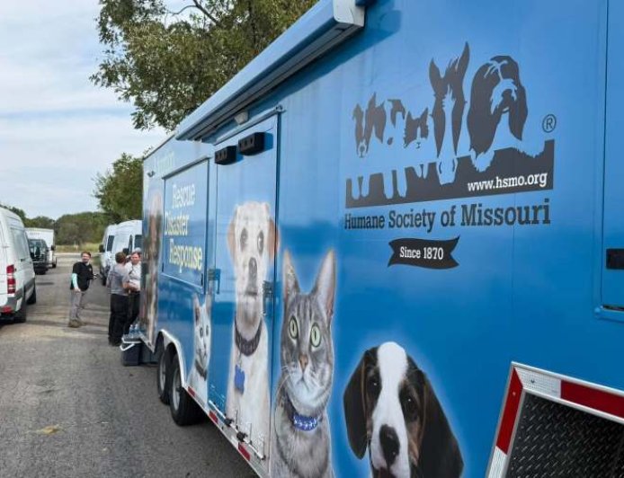 More than 100 animals rescued in Lawrence County