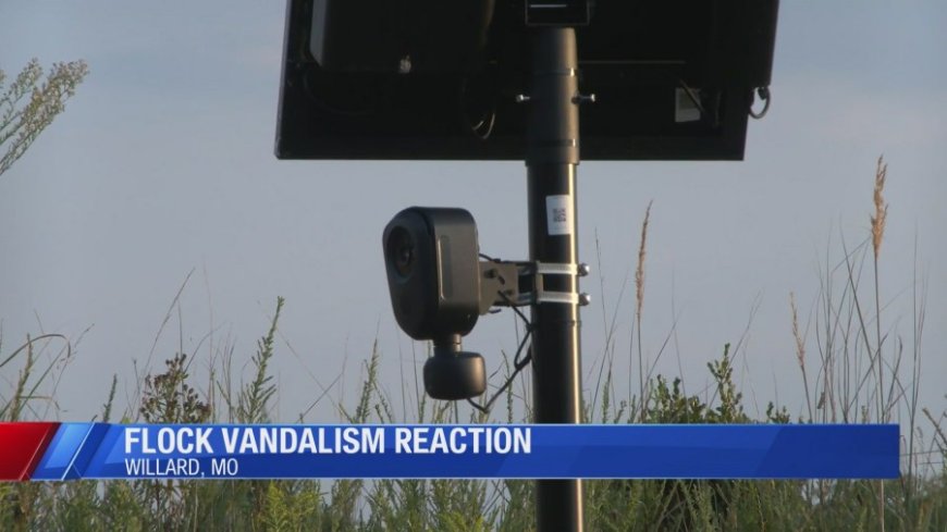 Willard local reacts to vandalism of Flock cameras