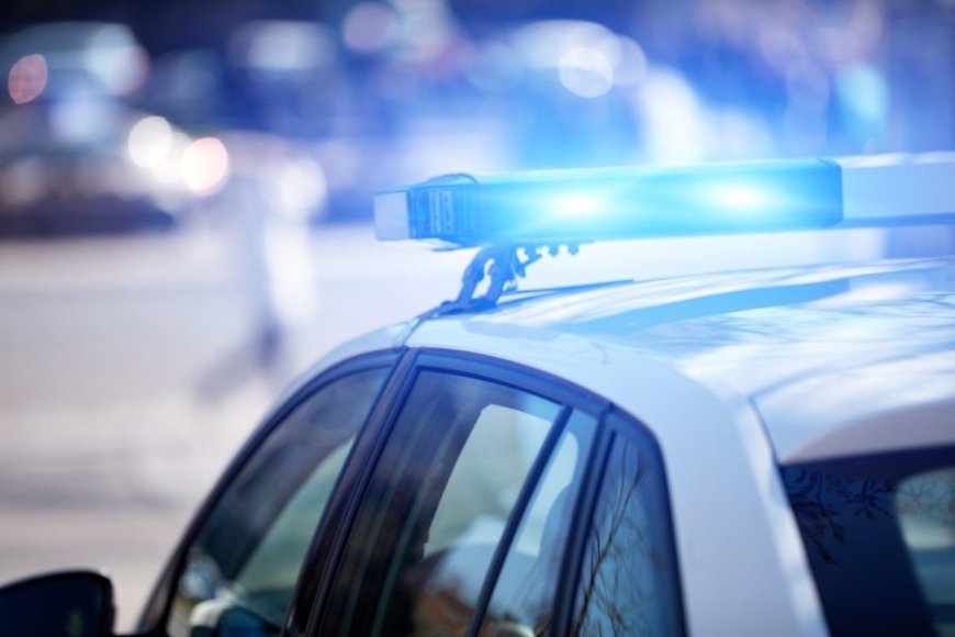 Willow Springs daycare employees arrested after children were found wandering from daycare