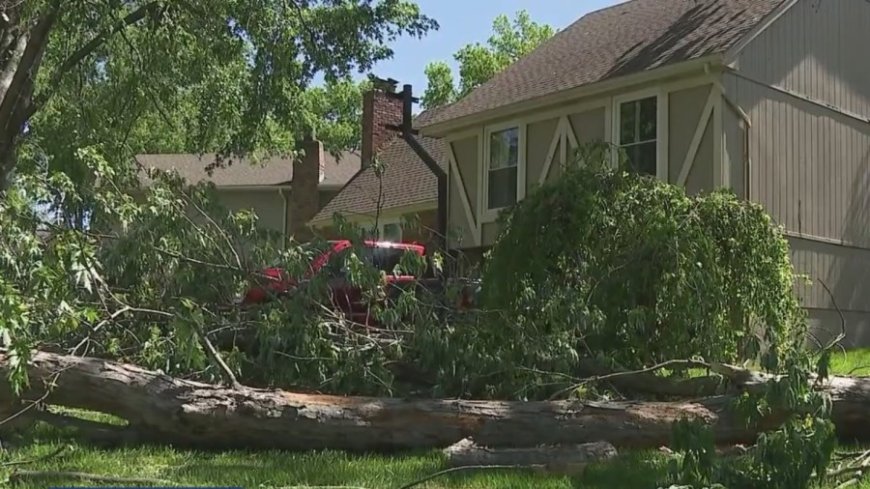 Springfield residents still waiting for repairs four months after April hailstorm