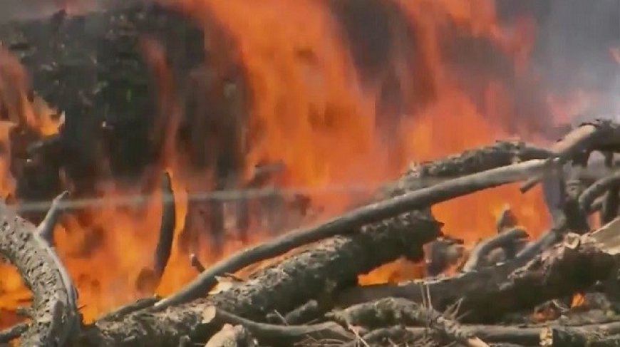 Several counties issue burn bans in Ozarks
